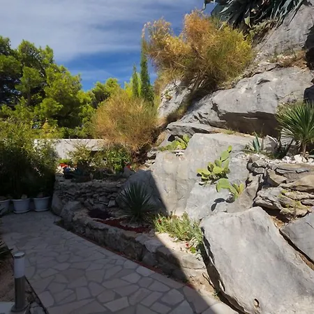 Abuela's House